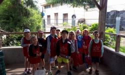 CLSH Ete 2017   005